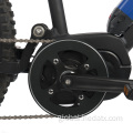 Specialized Pedal Assist Mountain Bike Mountain electric bike with wide tires Supplier